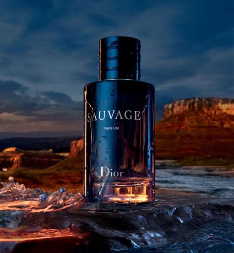 sauvage by dior mens|dior sauvage website.